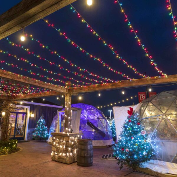 Igloos lit up at night at Blake's Tasting Room